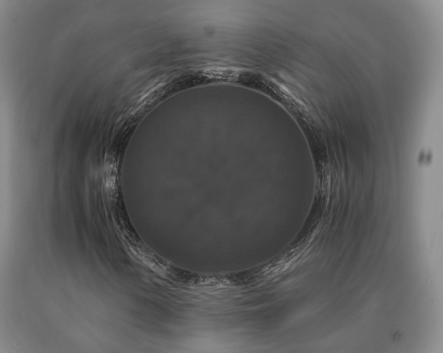 X0000091081154200708061331
