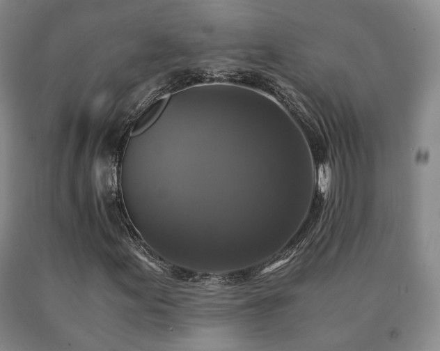 X0000091081155200708061331