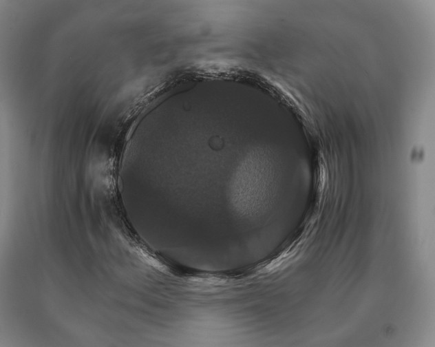 X0000091081156200708061331
