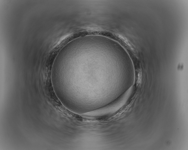 X0000091081157200708061331