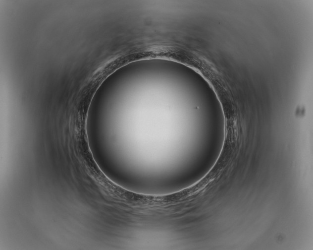 X0000091081158200708061331