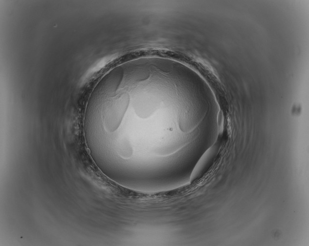 X0000091081159200708061331