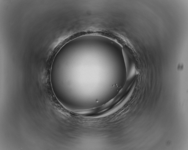X0000091081160200708061331