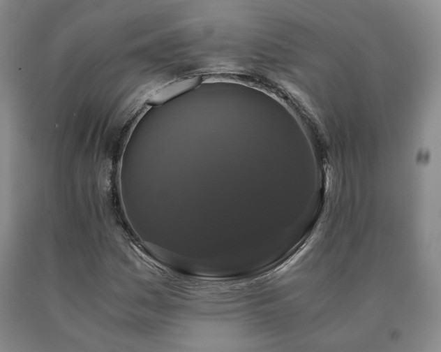 X0000091081161200708061331