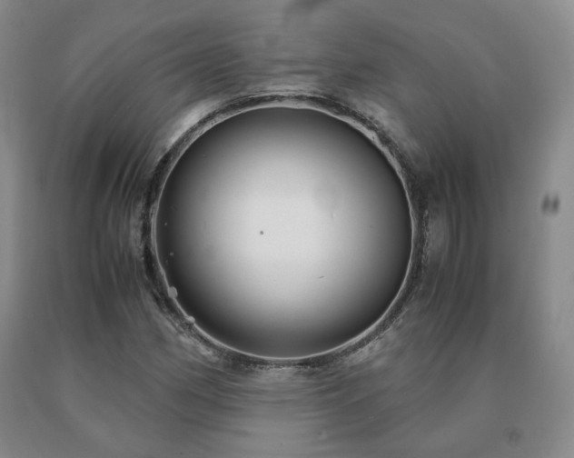 X0000091081162200708061331