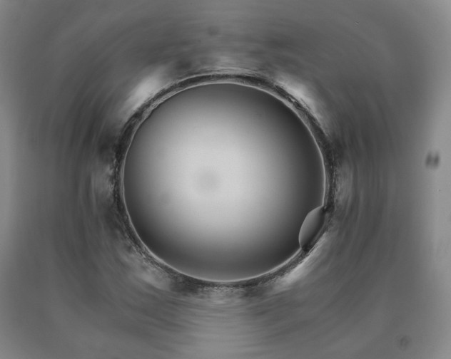 X0000091081163200708061331