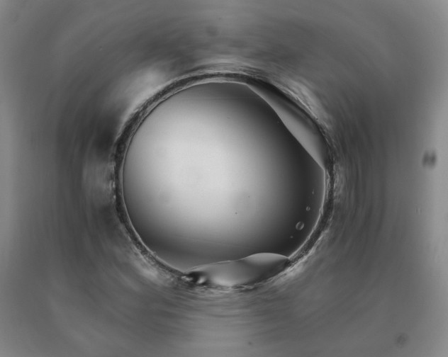 X0000091081164200708061331