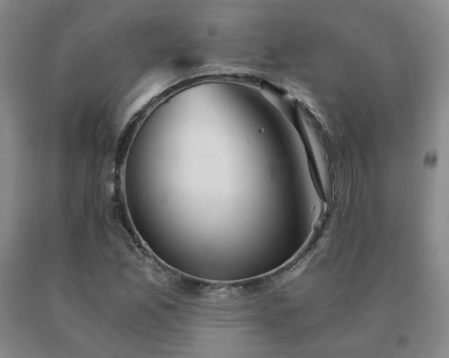 X0000091081165200708061331