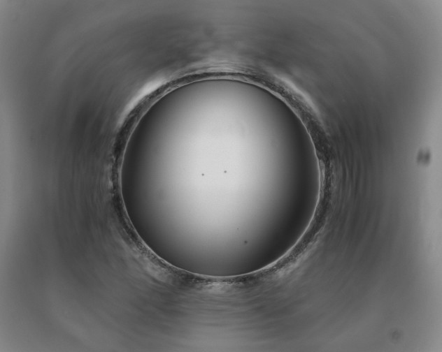 X0000091081166200708061331