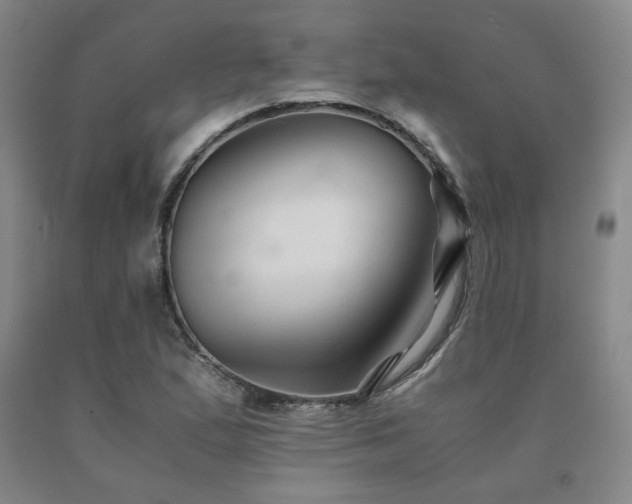 X0000091081167200708061331