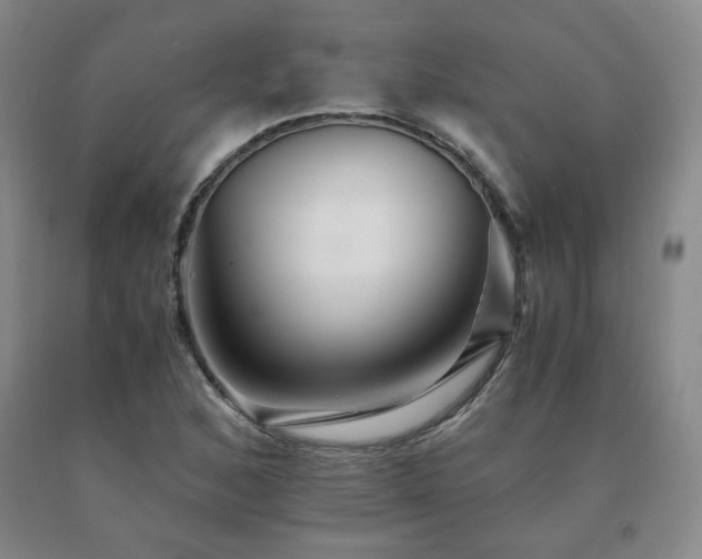 X0000091081168200708061331