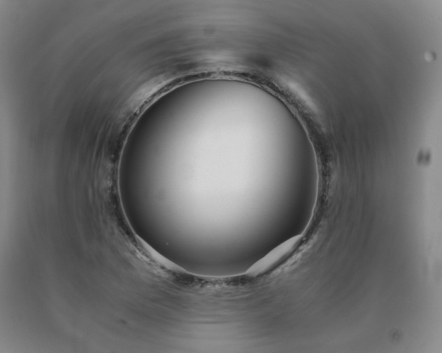 X0000091081169200708061331