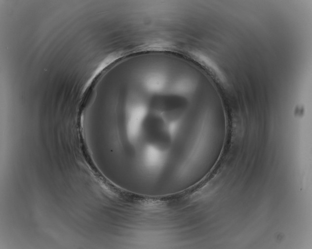 X0000091081170200708061331