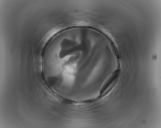 X0000091081171200708061331
