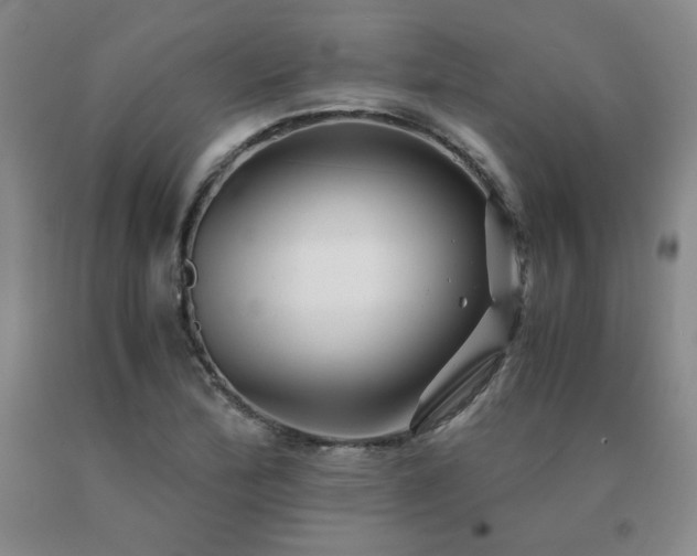 X0000091081172200708061331