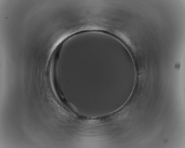 X0000091081173200708061331