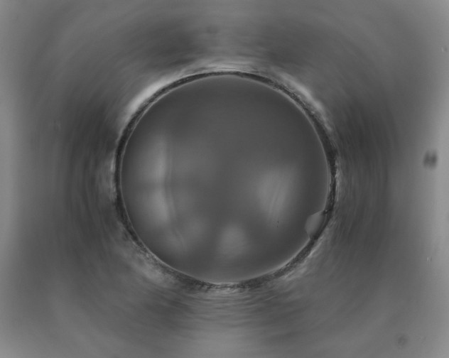 X0000091081174200708061331
