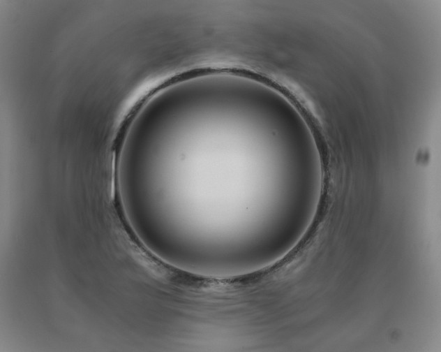 X0000091081175200708061331