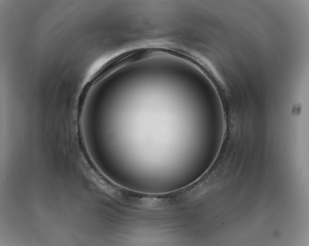X0000091081176200708061331