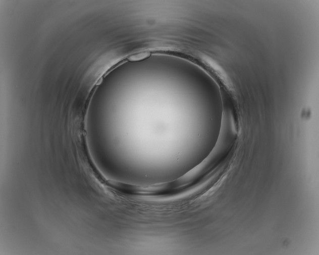 X0000091081177200708061331