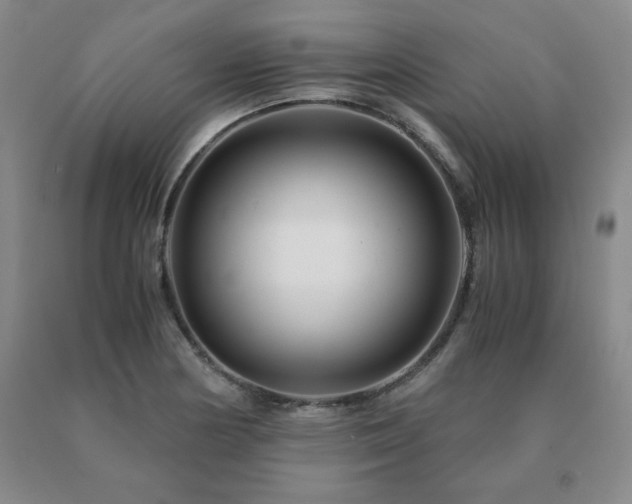 X0000091081178200708061331