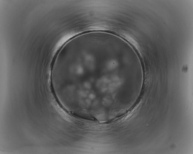 X0000091081179200708061331