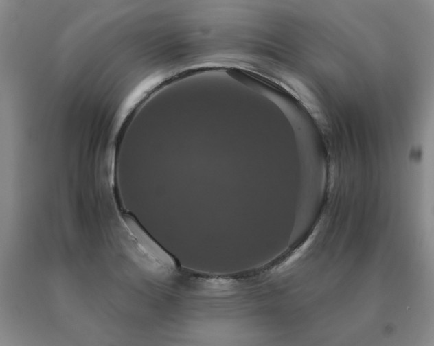 X0000091081180200708061331