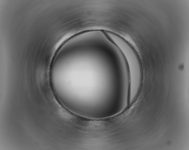X0000091081181200708061330