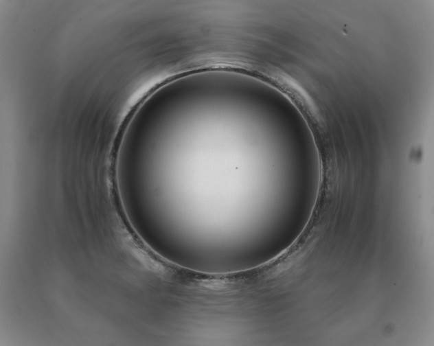 X0000091081182200708061330