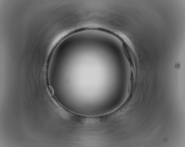 X0000091081183200708061330