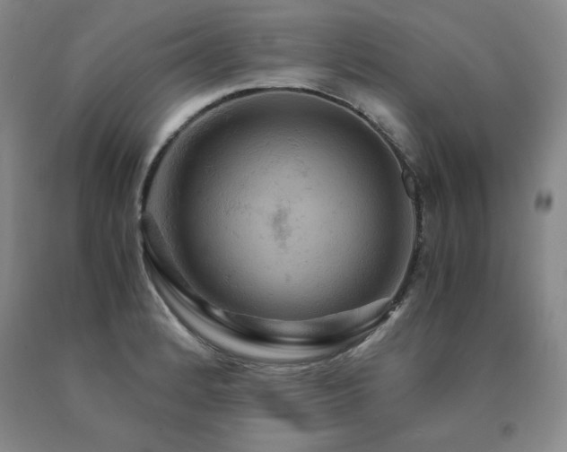 X0000091081184200708061330