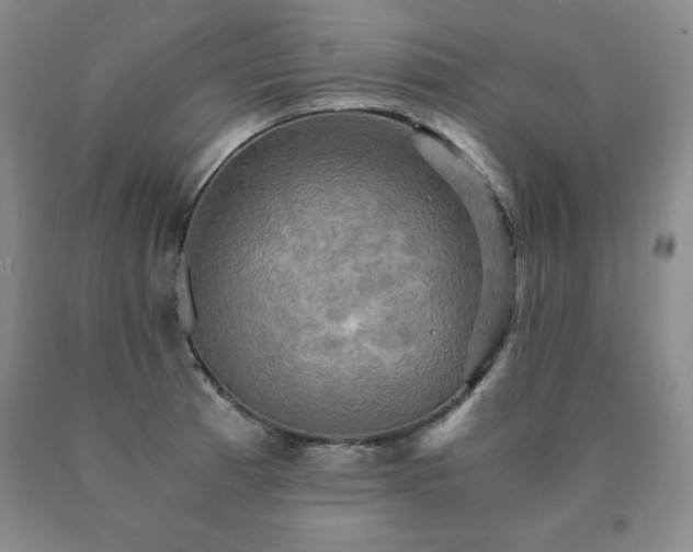 X0000091081185200708061330