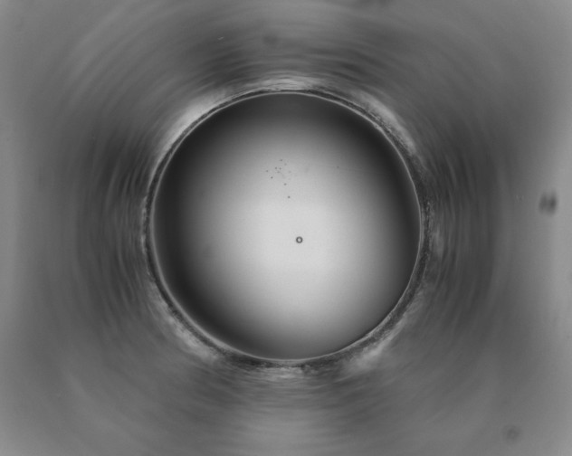 X0000091081186200708061330