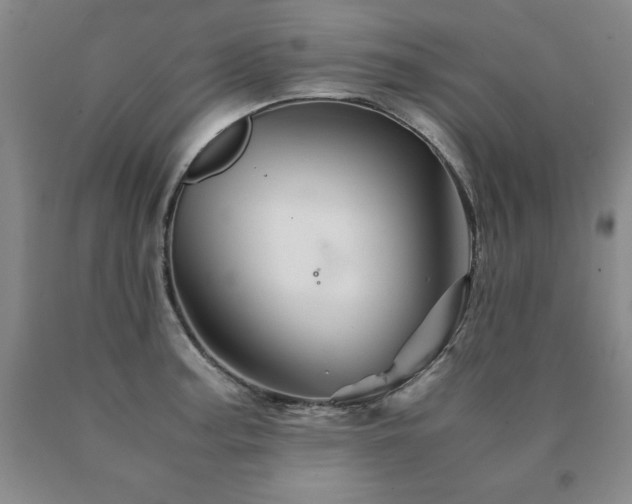 X0000091081187200708061330