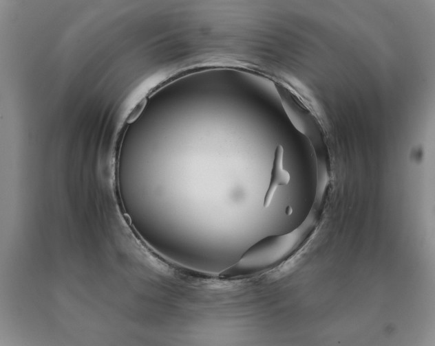 X0000091081188200708061330