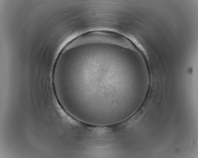 X0000091081189200708061330
