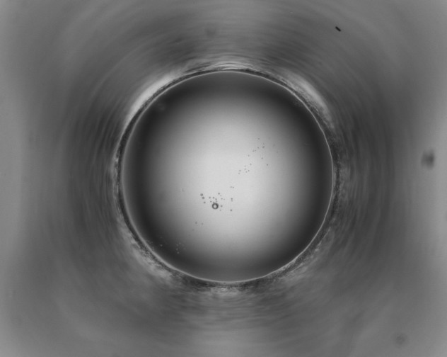 X0000091081190200708061330