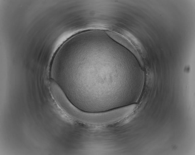 X0000091081192200708061330