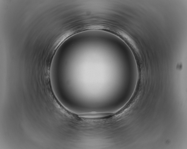 X0000091081193200708061330