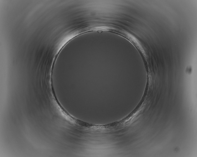 X0000091081194200708061330