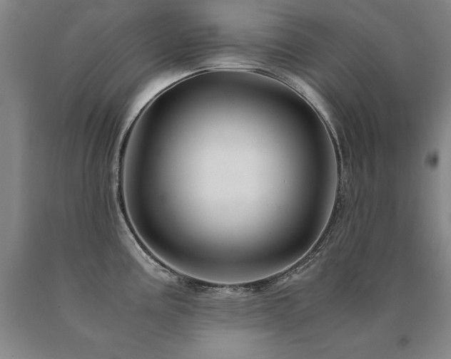 X0000091081195200708061330