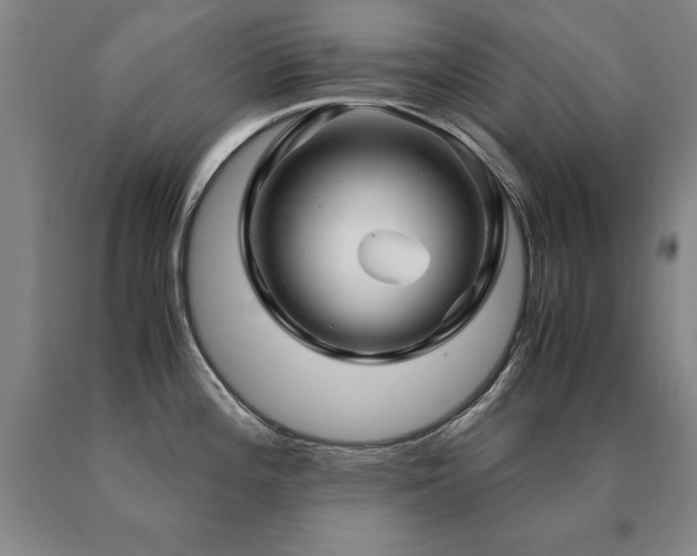 X0000091081196200708061330