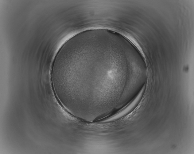X0000091081197200708061330