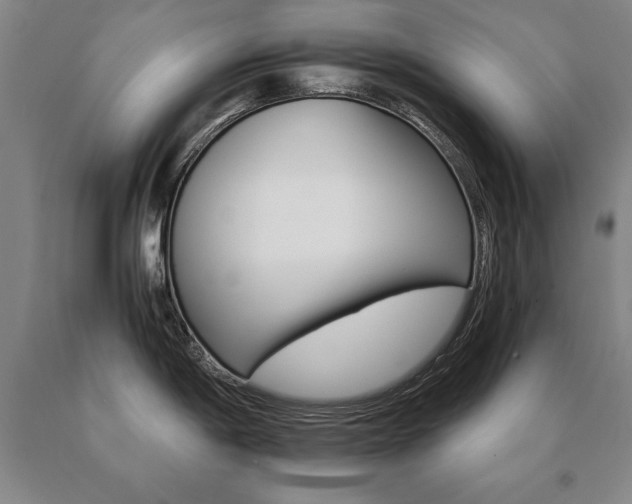 X0000091081198200708061330