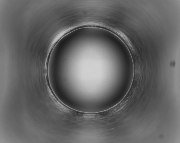 X0000091081199200708061330