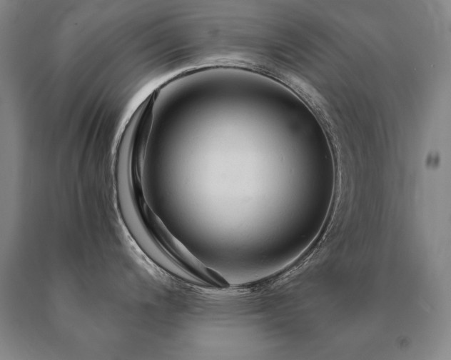 X0000091081200200708061330