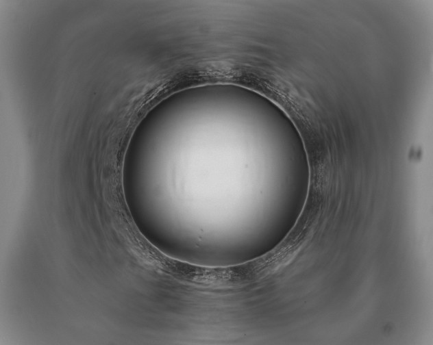 X0000091081201200708061330