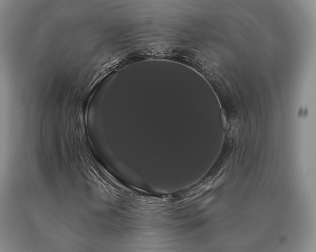 X0000091081202200708061330