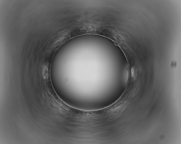 X0000091081203200708061330