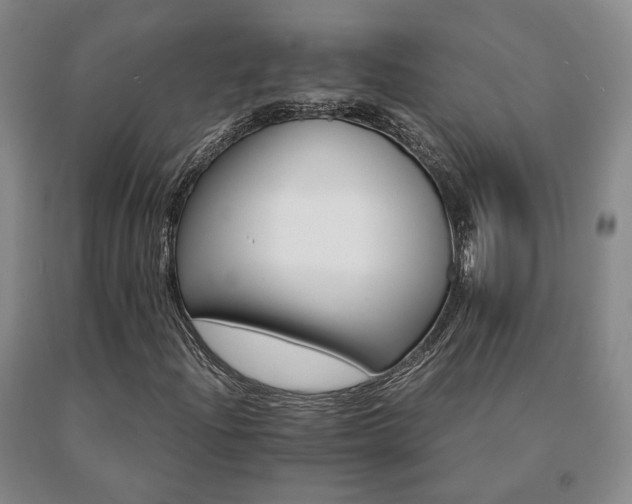 X0000091081204200708061330